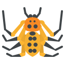 araña icon