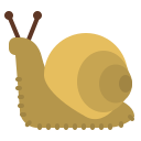 caracol