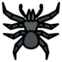 araña icon