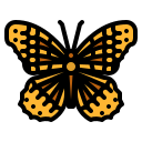 mariposa icon