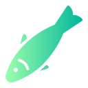 sardine 