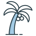 palmera icon