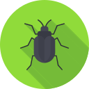 Insect icon