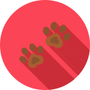 Footprint 