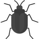 insecto icon