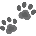 Footprint 