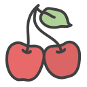 frutas icon