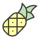 fruta icon