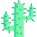 cactus icon