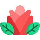 rosa icon