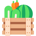 vegetales icon