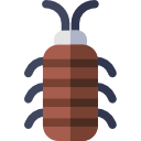 cucaracha icon