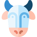 vaca