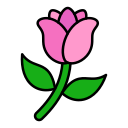 튤립 