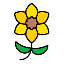 narciso 