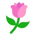 Tulip 