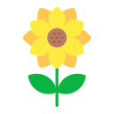 girasol icon