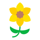 narciso 