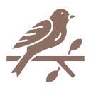 pájaro icon