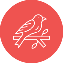 pájaro icon