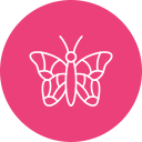 mariposa icon