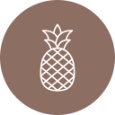 piña icon