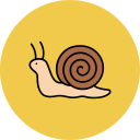 caracol