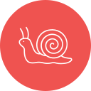 caracol icon