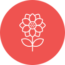 girasol icon