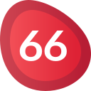 66