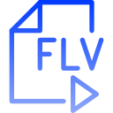 flv icon