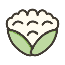 coliflor icon