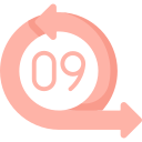 número 9 icon