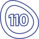 110