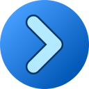 flecha correcta icon