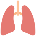 pulmones