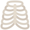 caja torácica icon