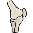 articulación de la rodilla icon