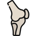 articulación de la rodilla icon