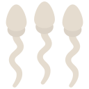 Sperm 
