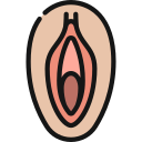 vagina icon