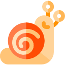 caracol