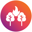 incendio forestal icon