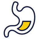 Stomach 
