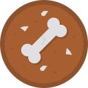 fósil icon