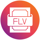 flv icon