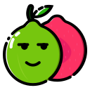 fruta icon