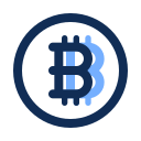 bitcoin icon