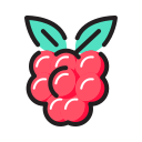 fruta icon