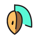 fruta icon